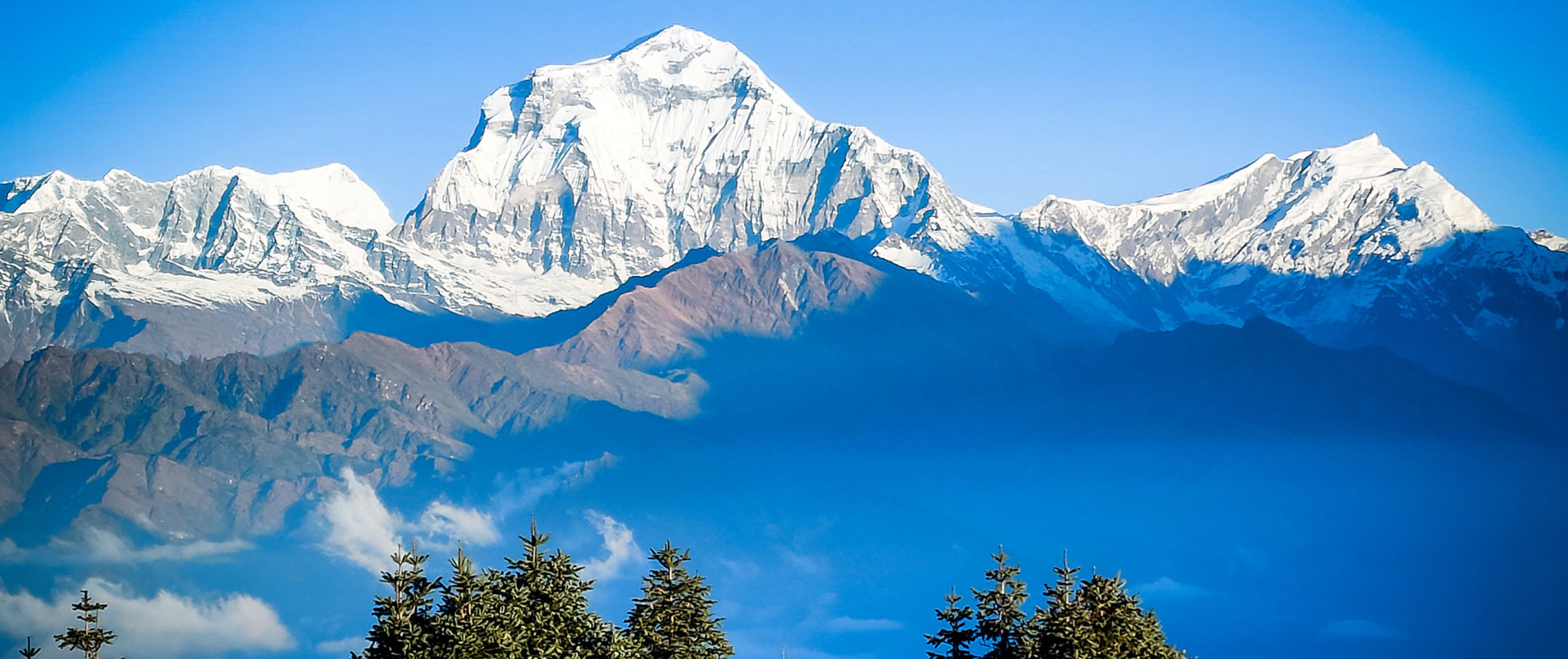Dhaulagiri mountain from Poon Hill on the Poon Hill trek