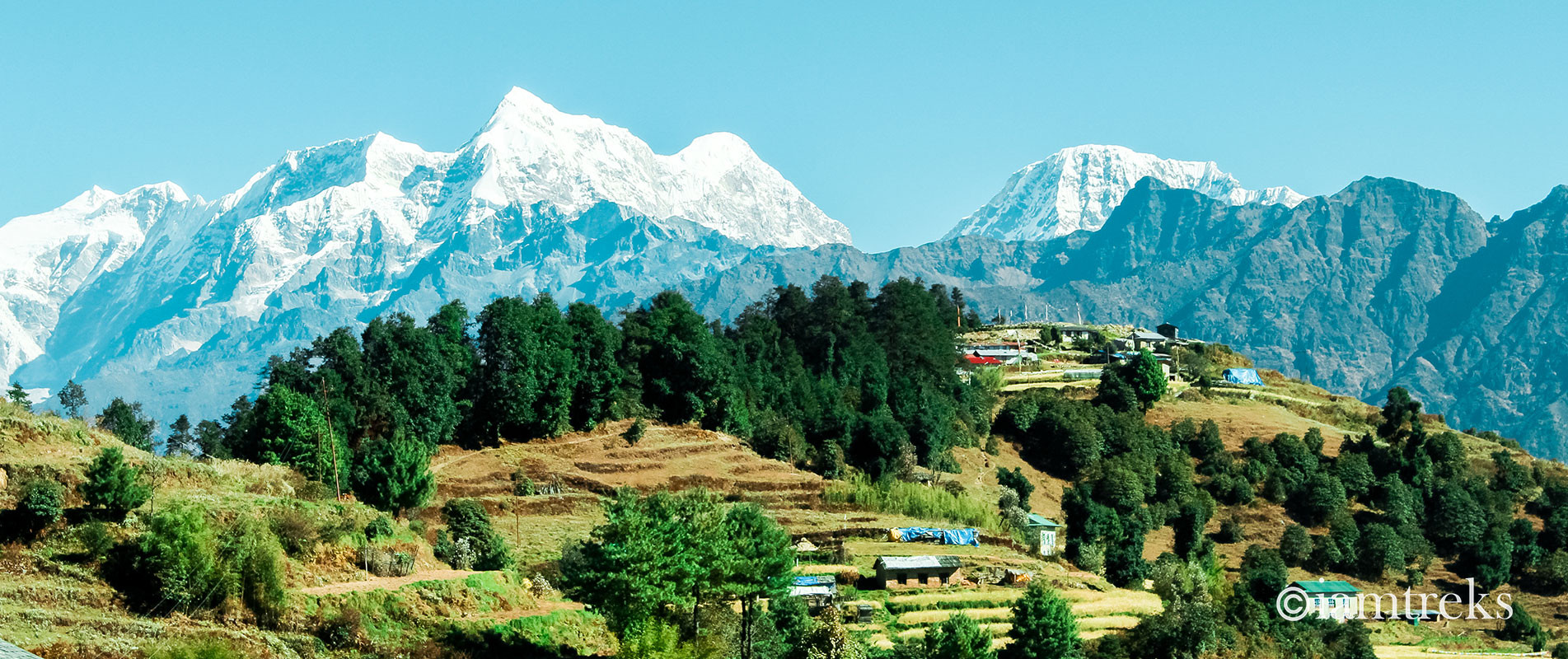Goli, a Sherpa village, surrounded by Kharsu oak and alder trees infront of Karyolung and Numbur on the Pikey Peak trail